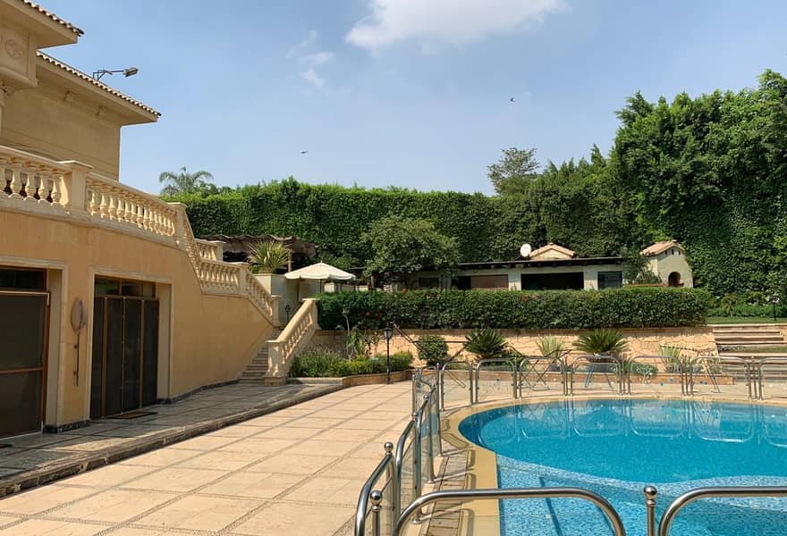 4 76bd5a3f-c2e8-45a6-b5de-eb725ab7feaa. jpg