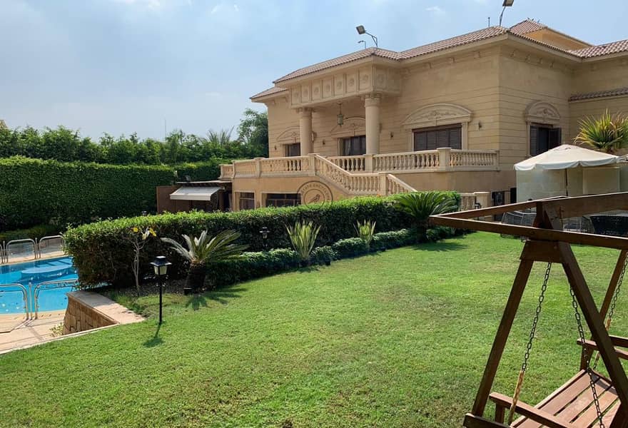 5 504d08c9-a652-457a-9946-45da2316e3a3. jpg