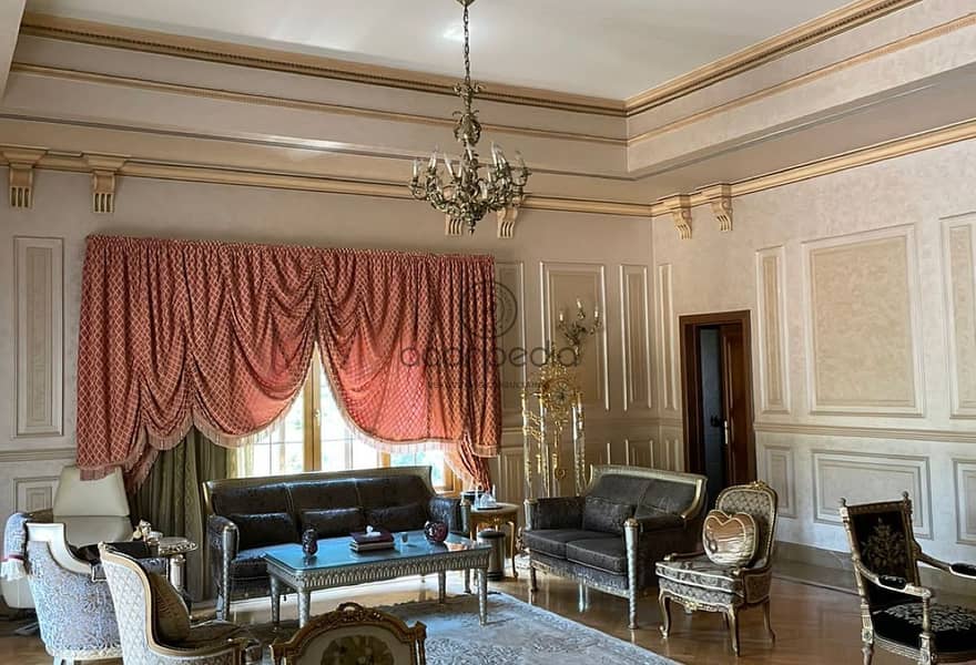 13 e66ba8d2-feed-48f7-91c9-ef43374672de. jpg