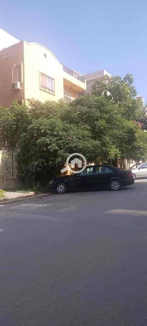 11 39eb8c84-ba71-4ede-936d-ef6d5d860deb. jpg