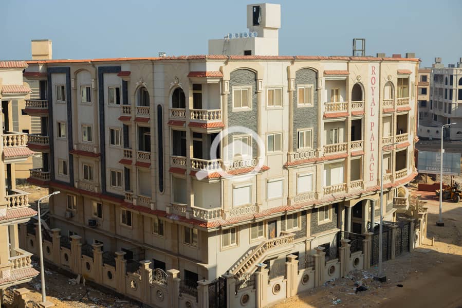 6 IMG_8075-Enhanced-NR. jpg