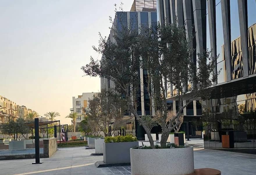 7 903b12bb-e378-4081-8593-db6f42951fd2. jpg