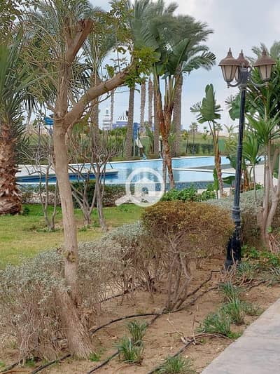 شاليه 1 غرفة نوم للبيع في الساحل الشمالي، مطروح - 444f7cfa-fa41-4a68-95b6-1ea468e04594. jpeg