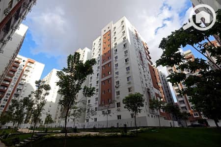 3 Bedroom Flat for Sale in Nasr City, Cairo - WhatsApp Image 2025-12-01 at 4.26. 10 PM. jpeg