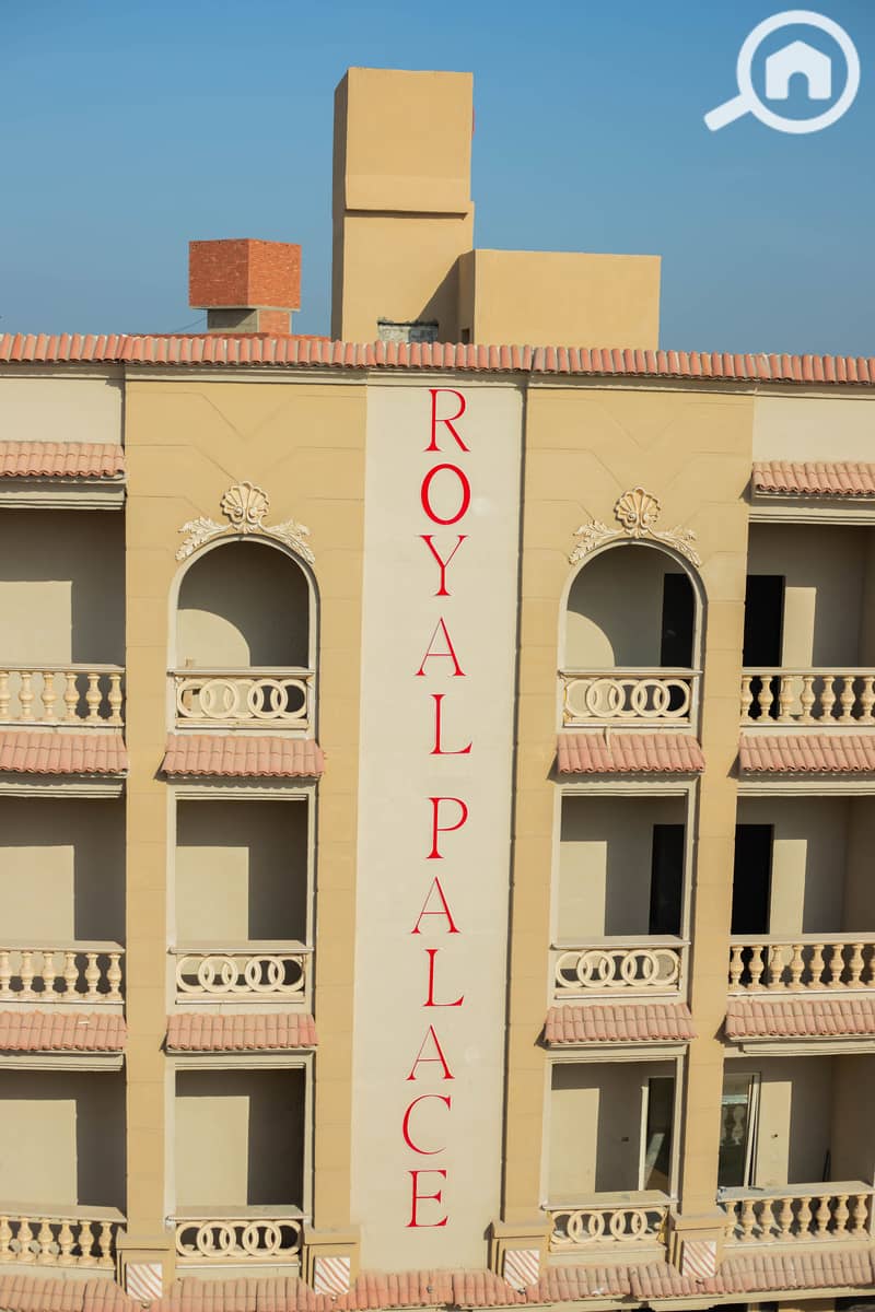 5 IMG_8079-Enhanced-NR. jpg