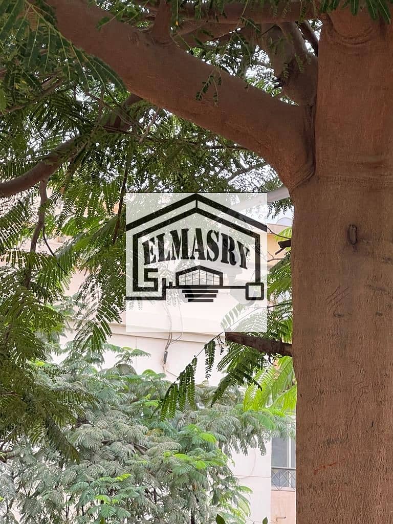 11 074c1176-ba2e-450f-b4e8-fa28e7386b26. jpg