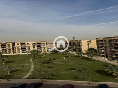3 Bedroom Flat for Rent in New Cairo, Cairo - WhatsApp Image 2025-12-01 at 12.04. 42 PM. jpeg