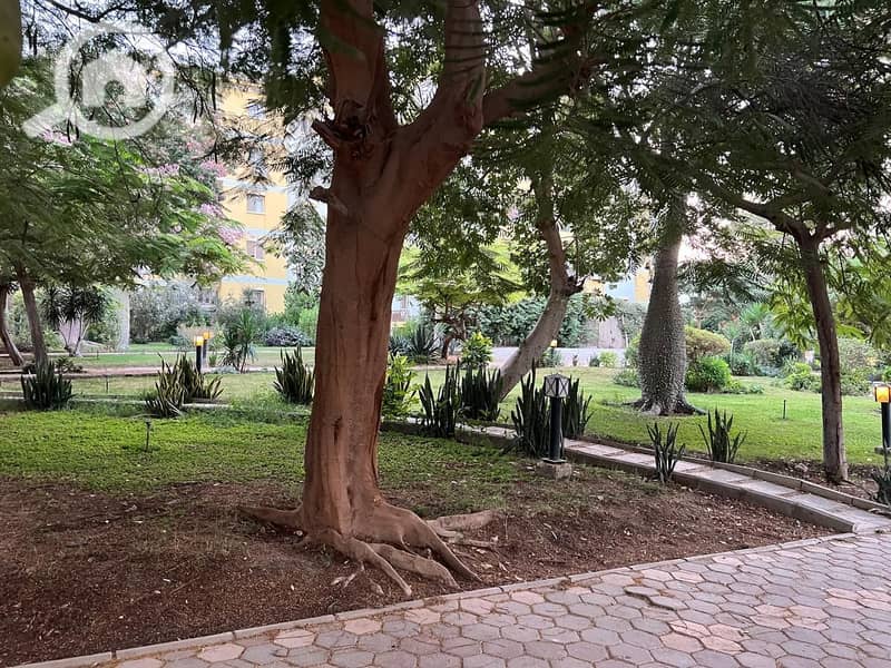 7 WhatsApp Image 2025-12-01 at 2.53. 50 PM. jpeg