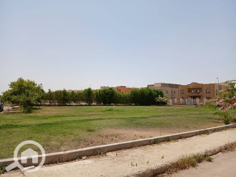 6 902394dc-07d9-4c97-9d2d-a04faf59825d (1). jpg