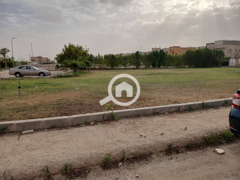 8 ec833ed9-e442-403b-9608-f09b8c7afbc7. jpg