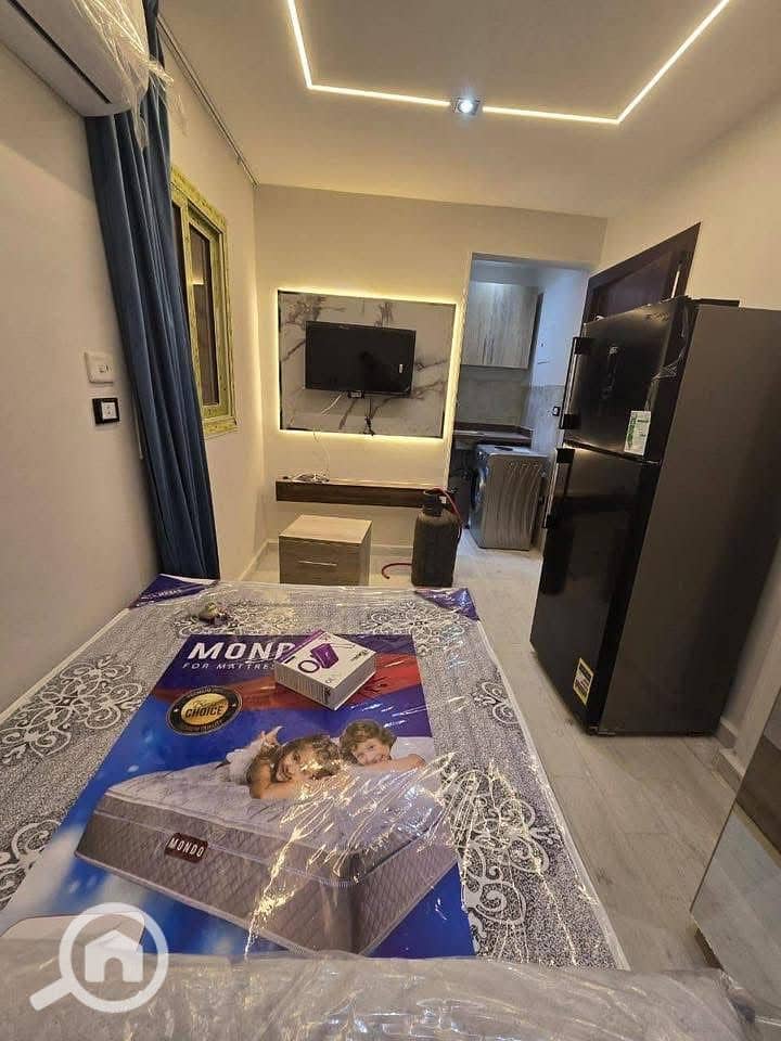 3 22dd53c3-390d-49a1-9da2-a2190dcc66fd. jpg