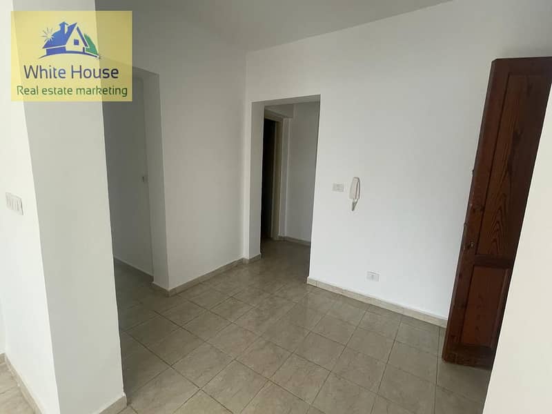 13 d4d2dc3f-7641-44e4-a4b7-44c182c678e4. jpg