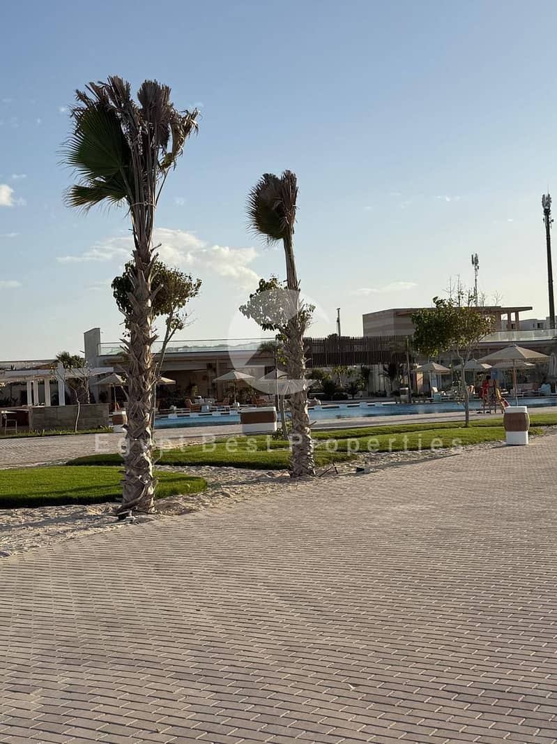 8 590820050_25354009414218379_8537419753617585474_n. jpg