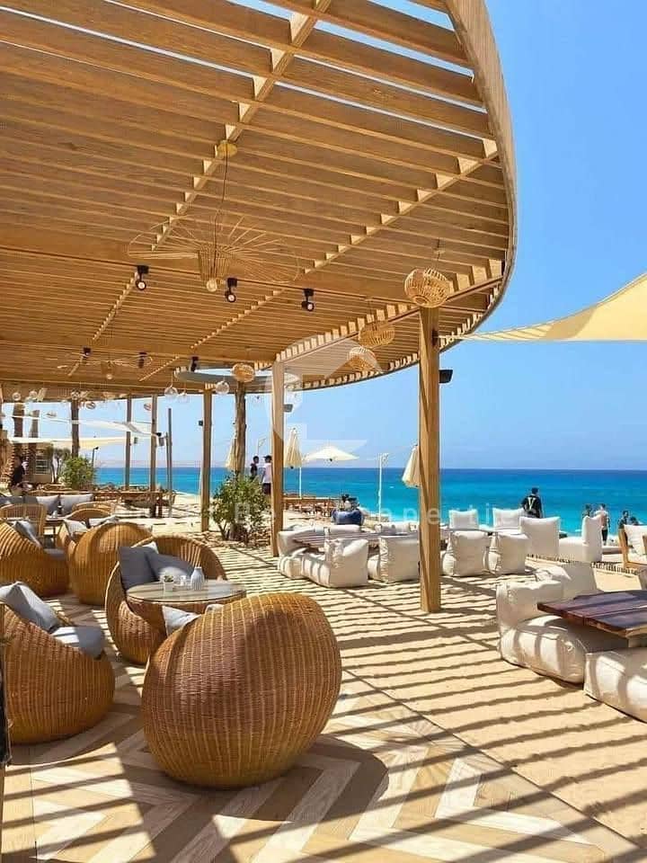 10 558406424_122211822668324825_983147480820331313_n. jpg