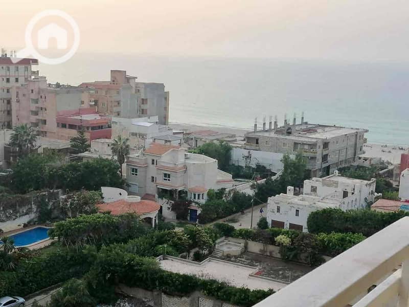 5 aeb73011-923e-41e3-b16f-d159bbcf1d1c. jpg