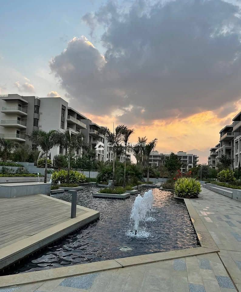 10 557637819_122122578236965441_8262198747607835409_n. jpg