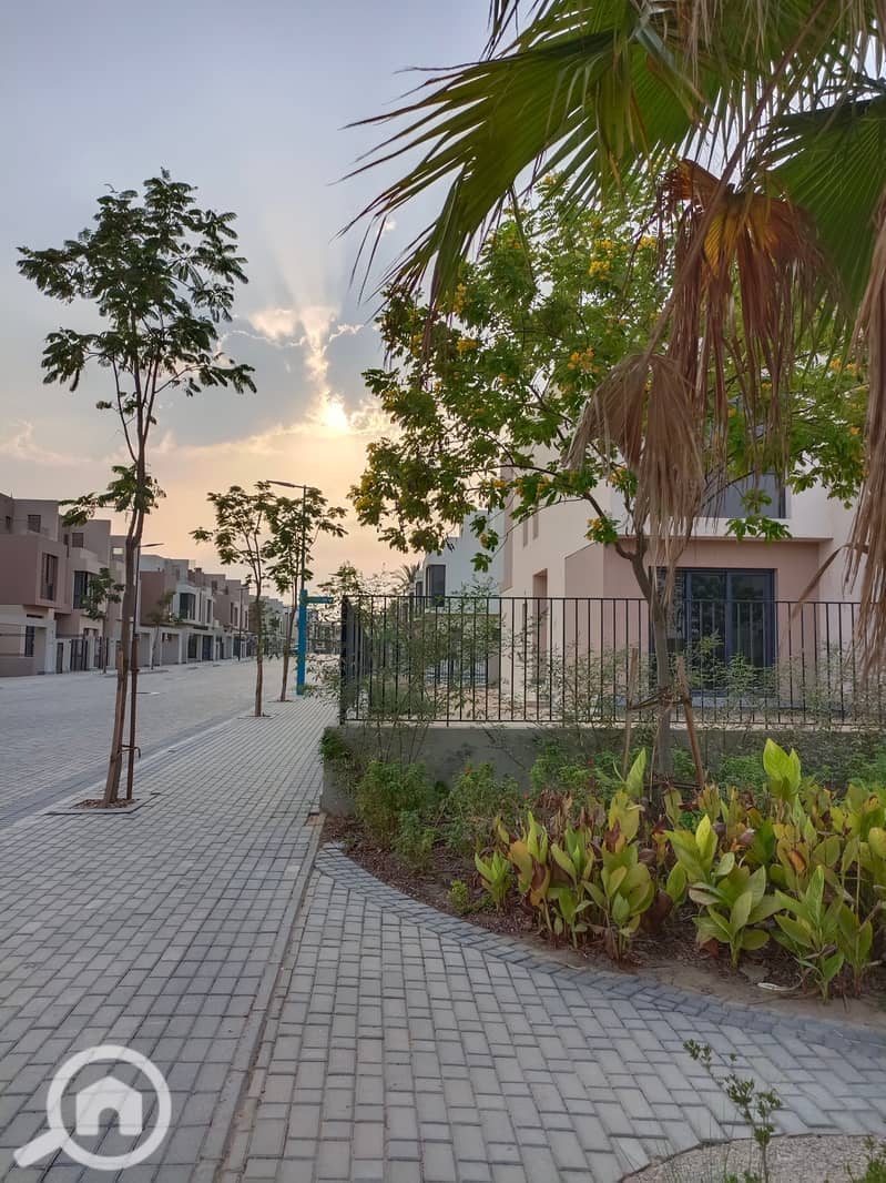 6 IMG_20231009_170946. jpg