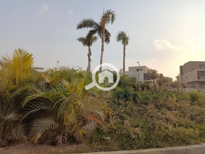 8 IMG_20231009_171219. jpg