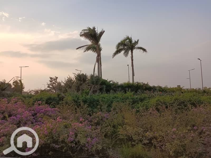 11 IMG_20231009_171212. jpg