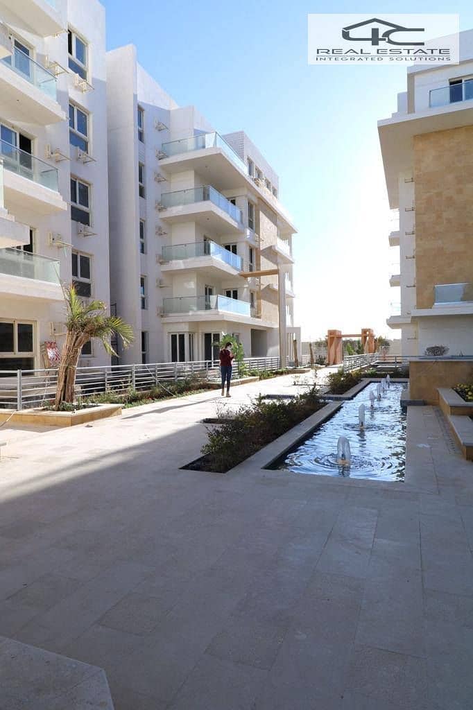 12 475781380_3945384595706109_2873268968255647464_n. jpg