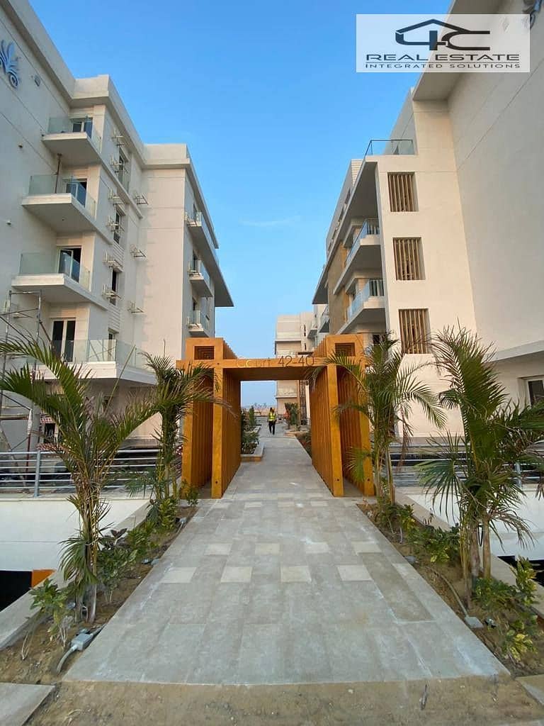 13 475474777_3945384542372781_6804085579638837372_n. jpg