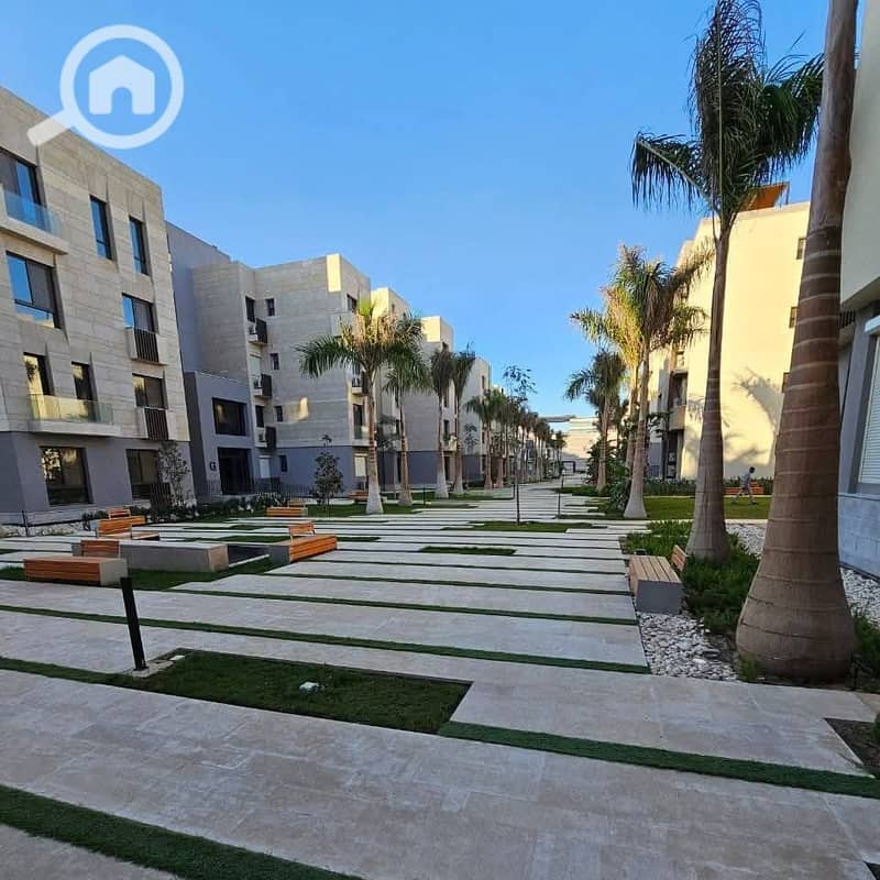 9 482810608_122145728186565108_6686977836746222527_n. jpg