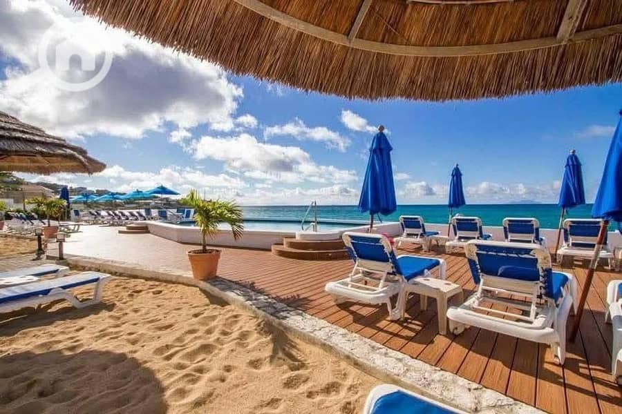 4 514268591_122140309994877090_5363451345832499095_n. jpg