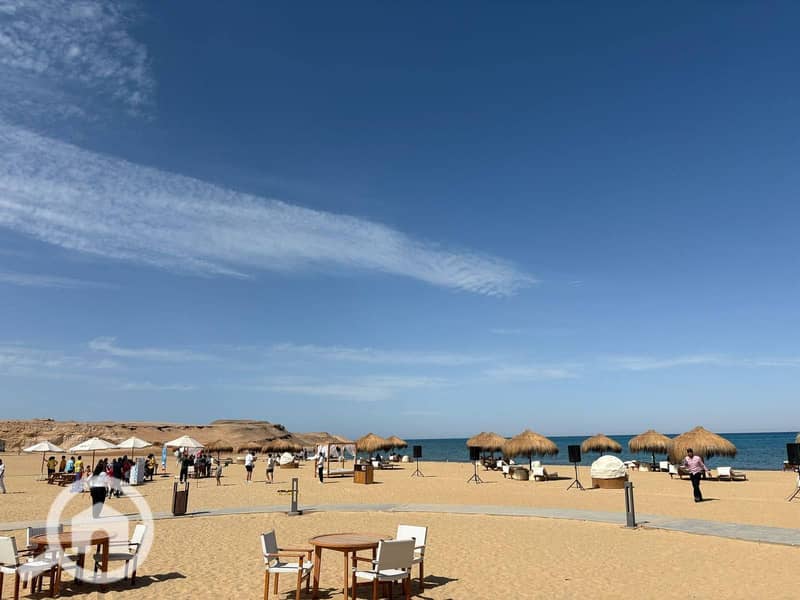 8 582785244_122143748840944441_3015236522739079809_n. jpg