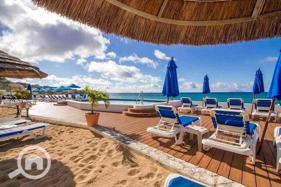 6 514268591_122140309994877090_5363451345832499095_n. jpg