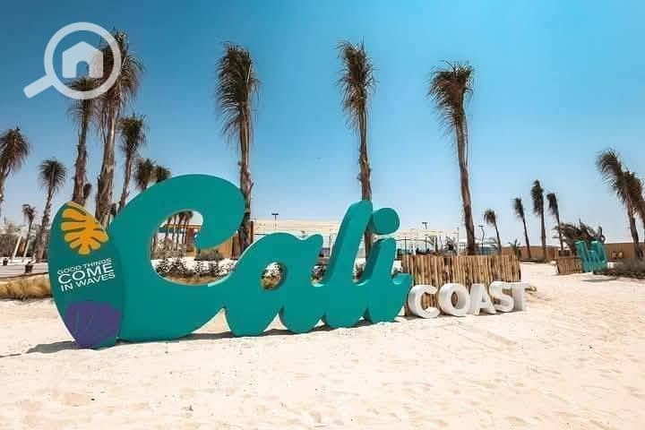 8 548612876_10234146065967502_8786630906830937608_n. jpg