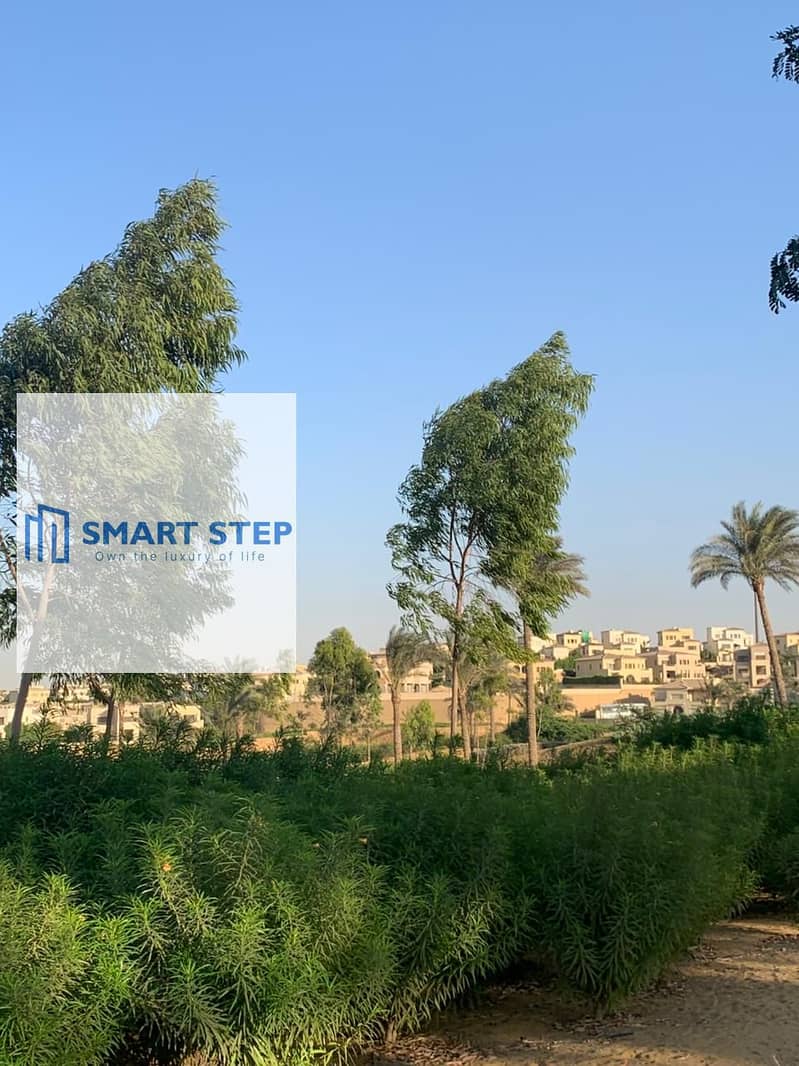 5 75b053a4-5cb4-4ba2-aaa0-98aa5803cc3f (2). jpg