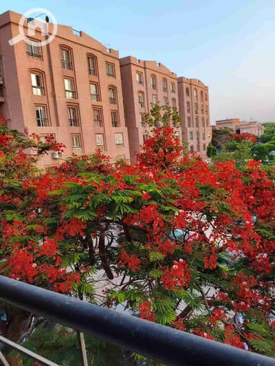 2 Bedroom Apartment for Rent in New Cairo, Cairo - 1000472633. jpg