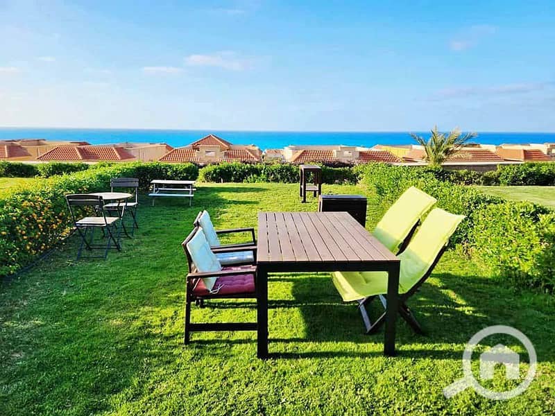 12 447253079_3767909293477706_3899495588351768807_n. jpg