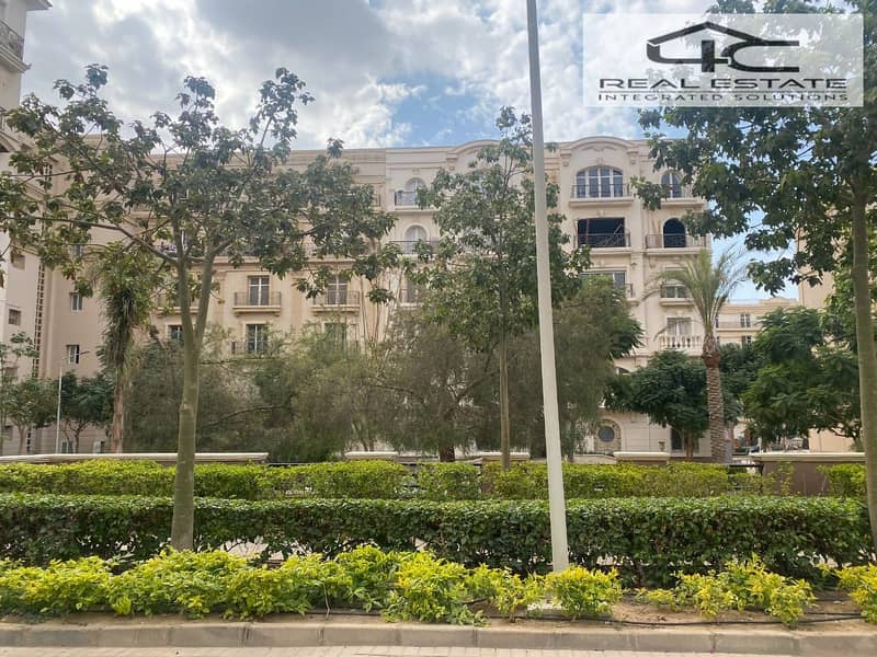 13 WhatsApp Image 2024-11-04 at 2.04. 19 PM (2). jpeg