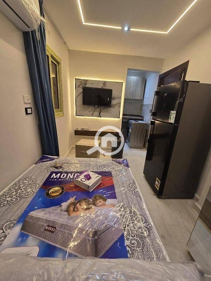 4 22dd53c3-390d-49a1-9da2-a2190dcc66fd. jpg