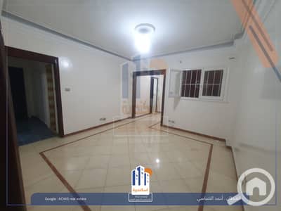 2 Bedroom Flat for Sale in Laurent, Alexandria - 566376473_1252452250247759_3313136997124943963_n. jpg