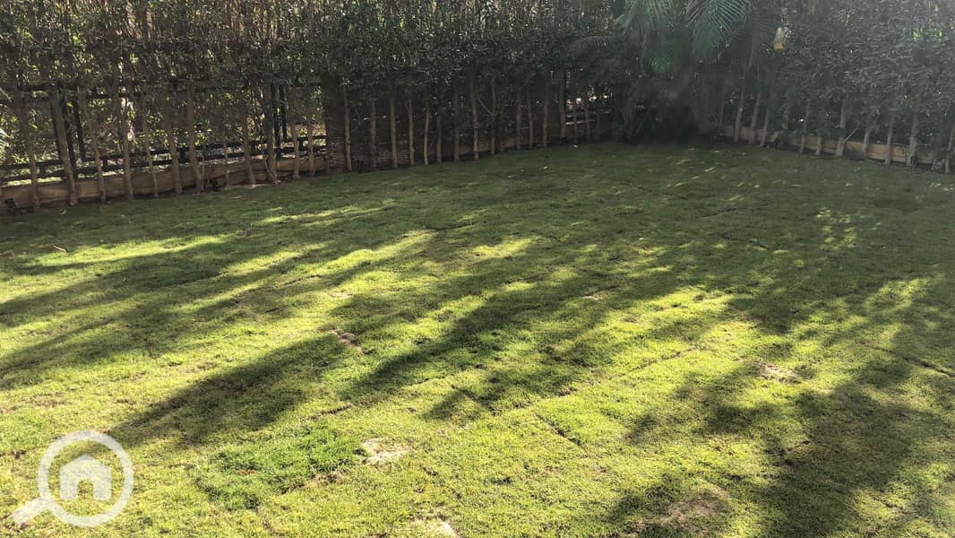 5 921a1503-bb3d-4ee8-b883-8dbc72f358b1. jpg