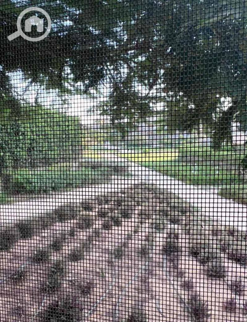 16 3cb0dd71-2015-4932-89ff-99aaaa3f365c. jpg