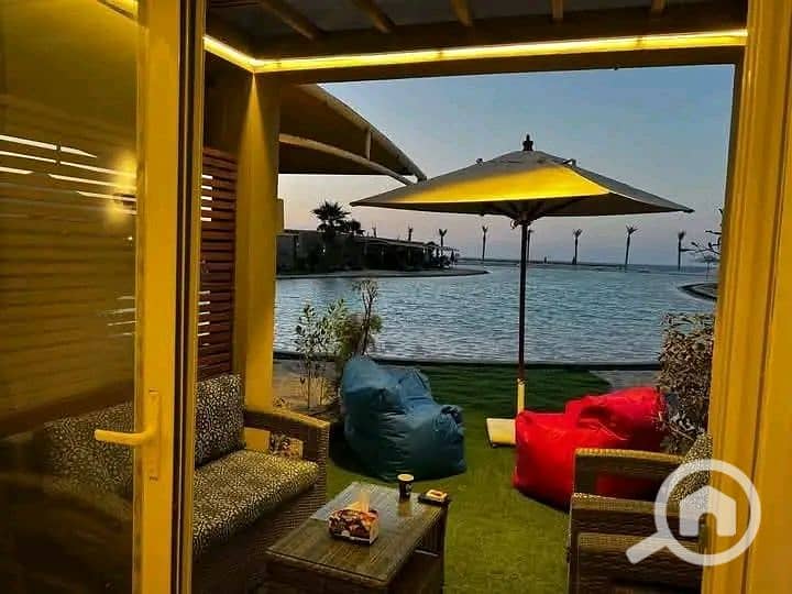 3 1746595368808. jpg