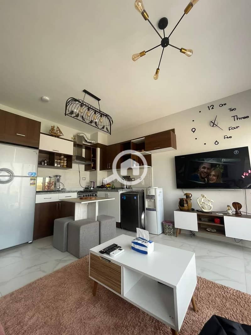 7 460575368_3888378378086964_7832947208682185609_n. jpg