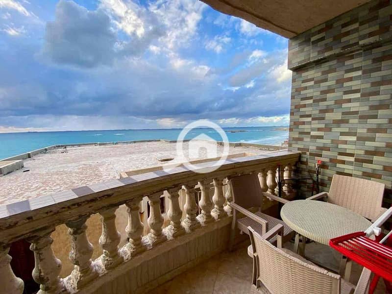 3 9fe4ee0d-c8f5-4686-ba29-bffbcd17107d. jpg