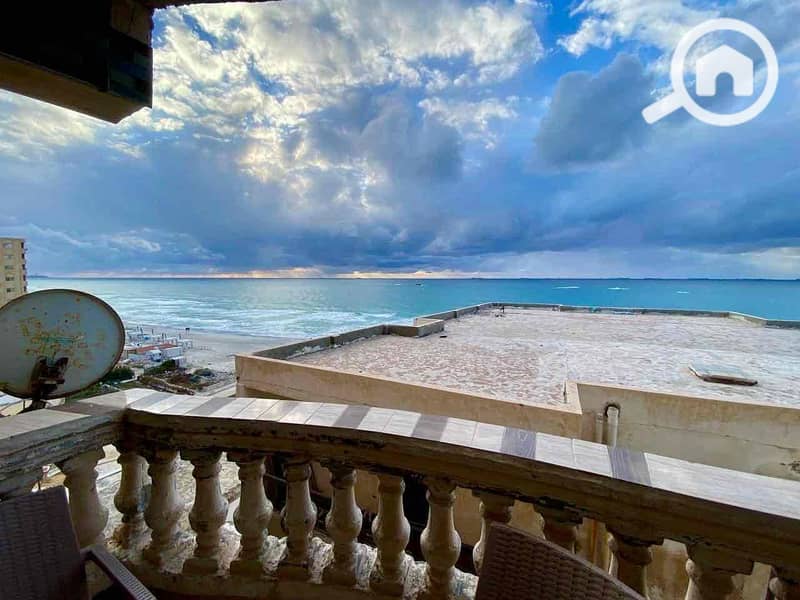 4 be7db9e8-c30e-4444-bb5e-3c28b12e39f9. jpg