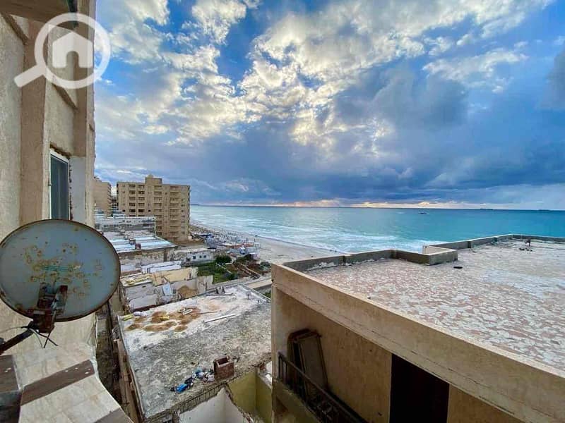 5 01e15074-5ff1-4892-a437-aac333c091f6. jpg