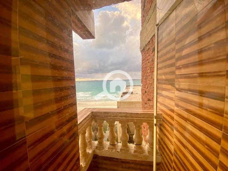 8 737ee158-1b17-4cd2-aedf-e6b78f8fb7c7. jpg