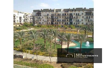 7 3923655-98701o. jpg