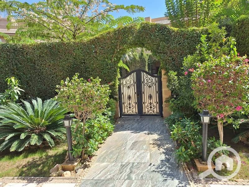 11 575172719_2521326864934872_3968417216992992402_n. jpg