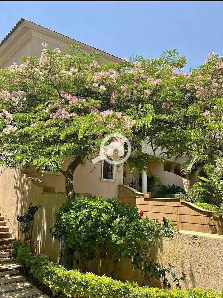 14 574445165_2521326761601549_5109433005607848206_n. jpg