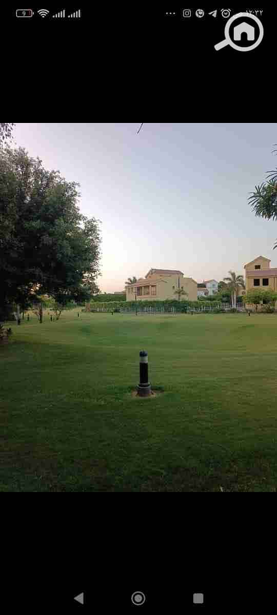 IMG-20250614-WA0049. jpg IMG-20250614-WA0049. jpg