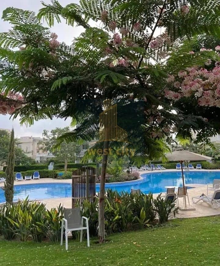 4 WhatsApp Image 2025-09-13 at 9.43. 40 AM(1). jpeg