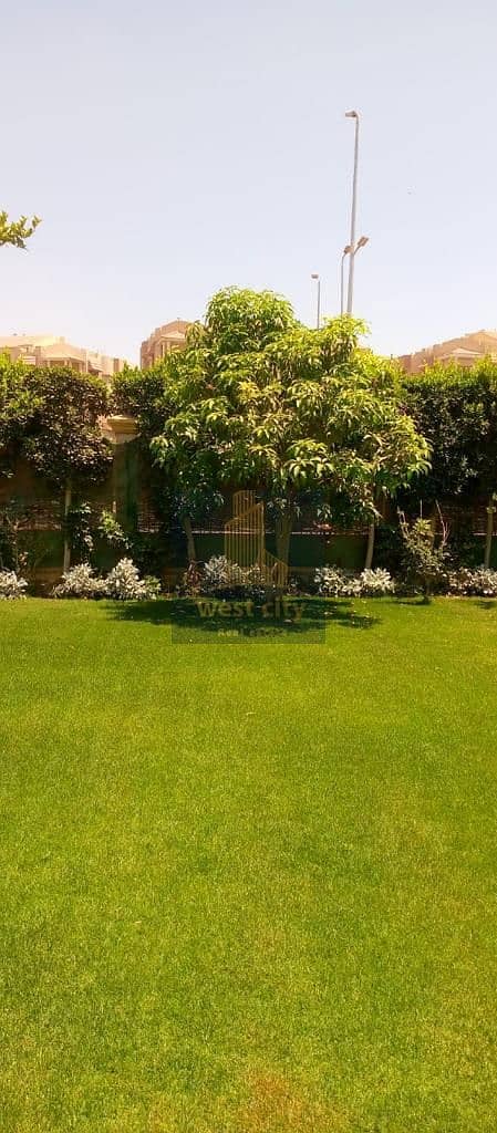 8 99b8904c-d5ae-456e-a791-ce23a4ec960f. jpg